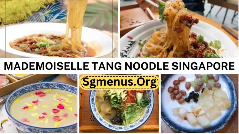 Mademoiselle Tang Noodle Singapore Menu Prices 2024